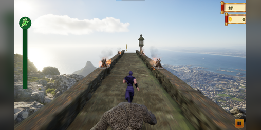 Cover image for Infinite Run