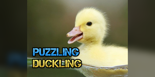 Cover image for Puzzling Duckling