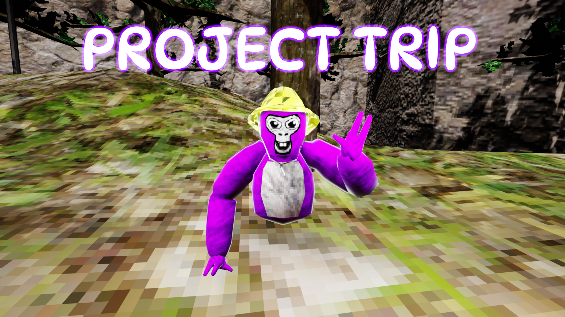 Cover image for Project Trip