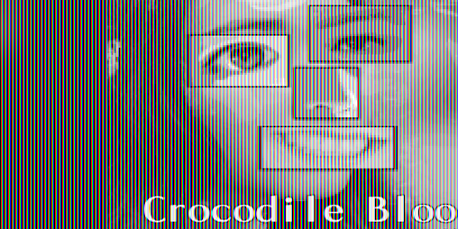 Cover image for Crocodile Blood: The Final Moments of Kurumizawa Keiko