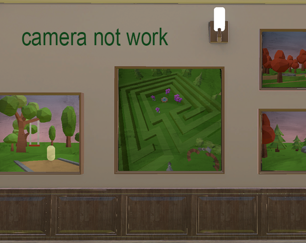 camera not work