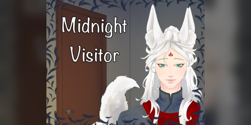Cover image for Midnight Visitor