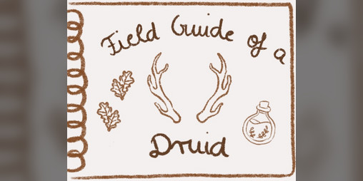 Cover image for Field Guide of a Druide