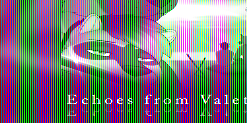 Cover image for Echoes from Valeth