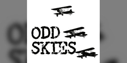 Cover image for Odd Skies