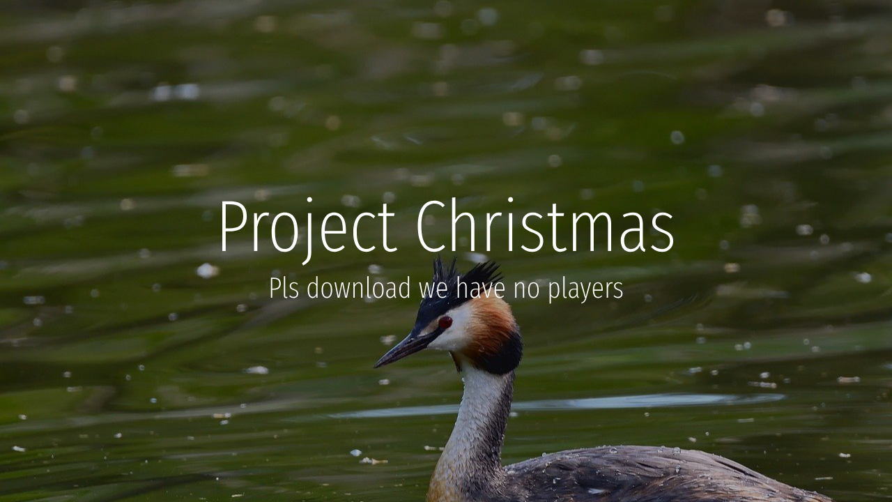 ProjectChristmas