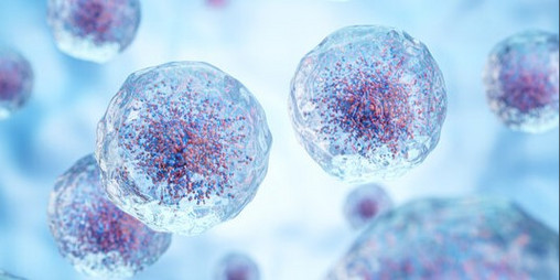 Cover image for Blood Cell Bash