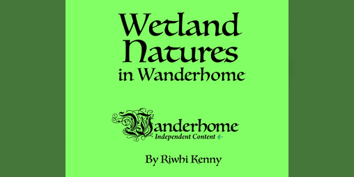 Cover image for Wetland Natures in Wanderhome