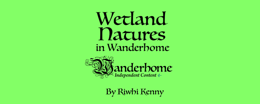 Wetland Natures in Wanderhome