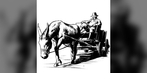 Cover image for Dozens And Wagons