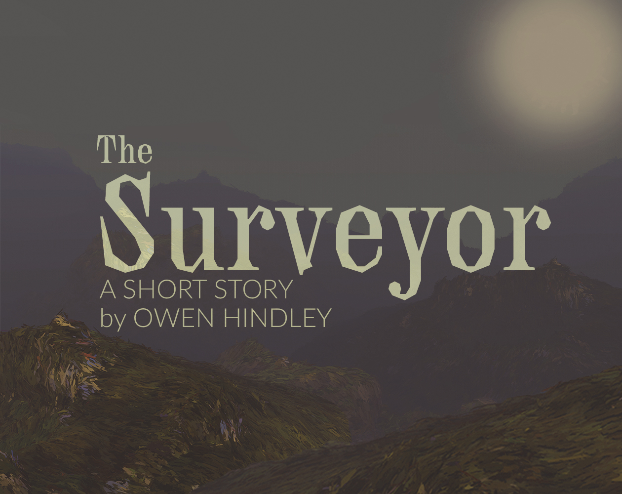 Cover image for The Surveyor
