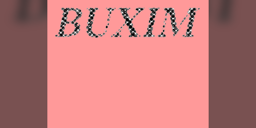 Cover image for Buxim