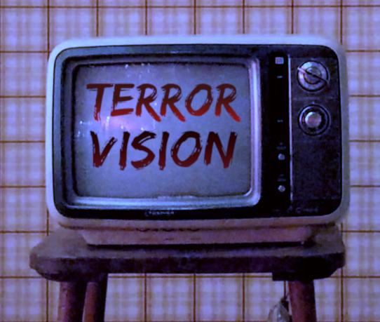 Cover image for Terror Vision