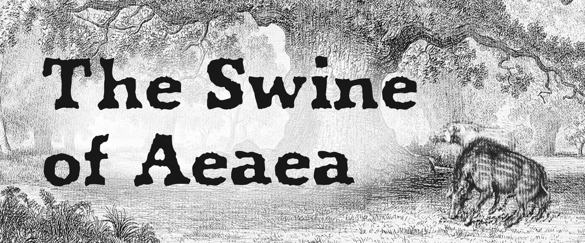 The Swine of Aeaea