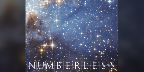 Cover image for Numberless