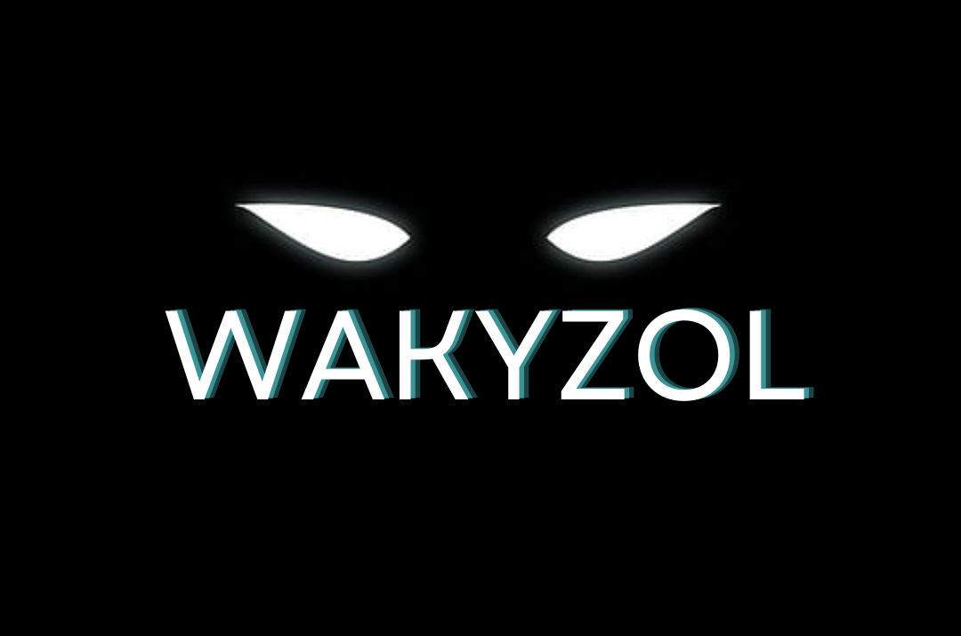 Cover image for Wakyzol