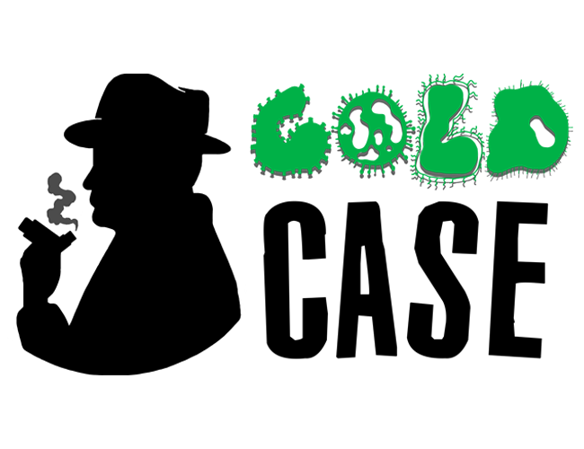 Cover image for Cold Case