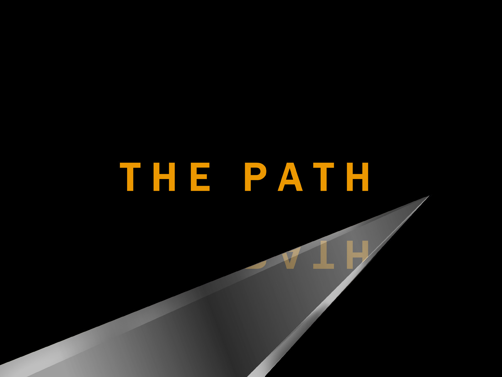 Cover image for The Path