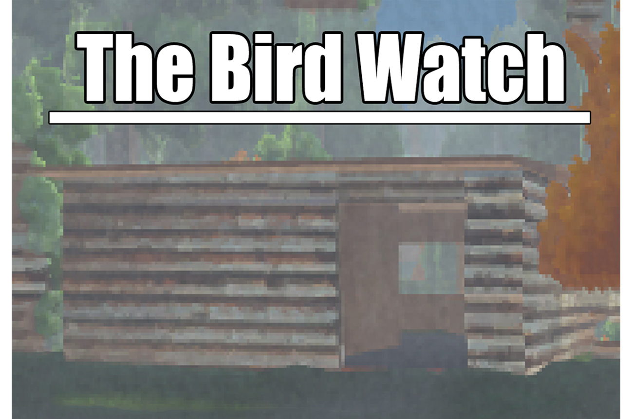 The Bird Watch