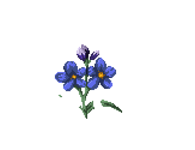 Cover image for Little Quest