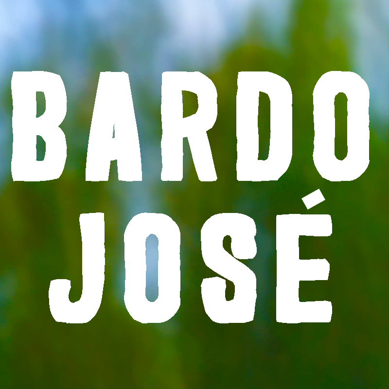 Cover image for bardo josé