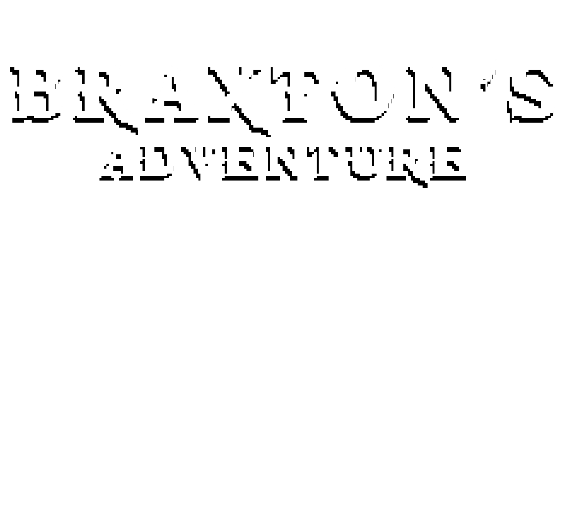 Braxton's Adventure