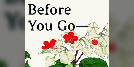 Cover image for Before You Go—