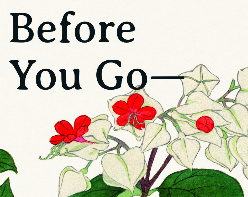 Before You Go—