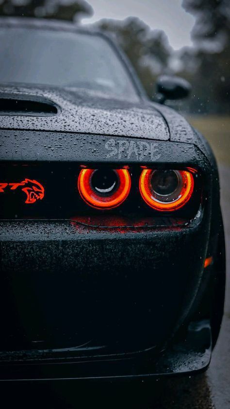 legend of the road