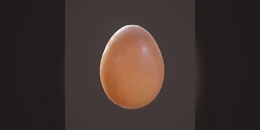 Cover image for egg.