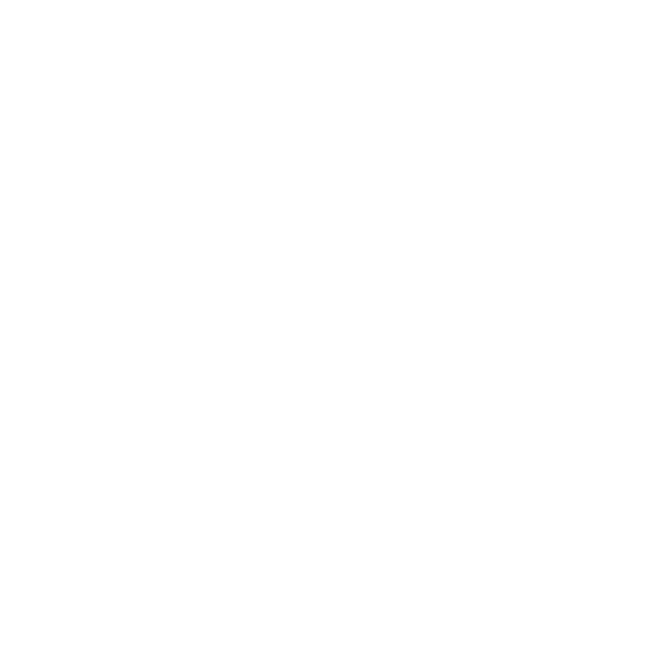 Método Journaling