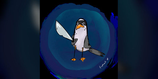 Cover image for Seagulls are Dicks