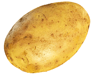 PotatoSimulator