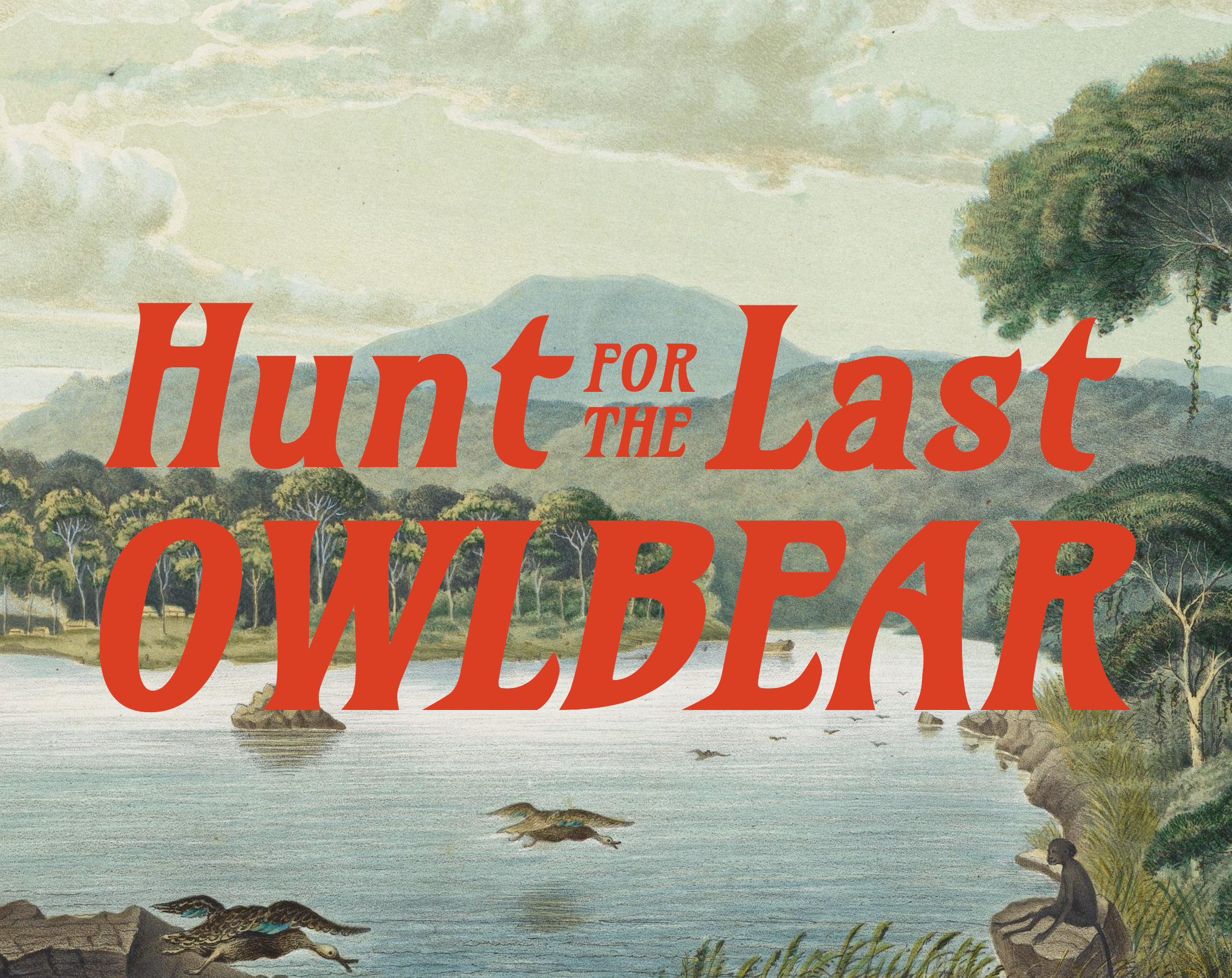 Cover image for Hunt for the Last Owl Bear