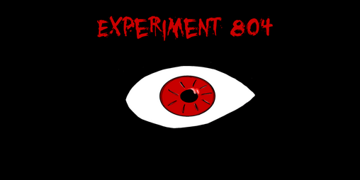 Cover image for Experiment 804