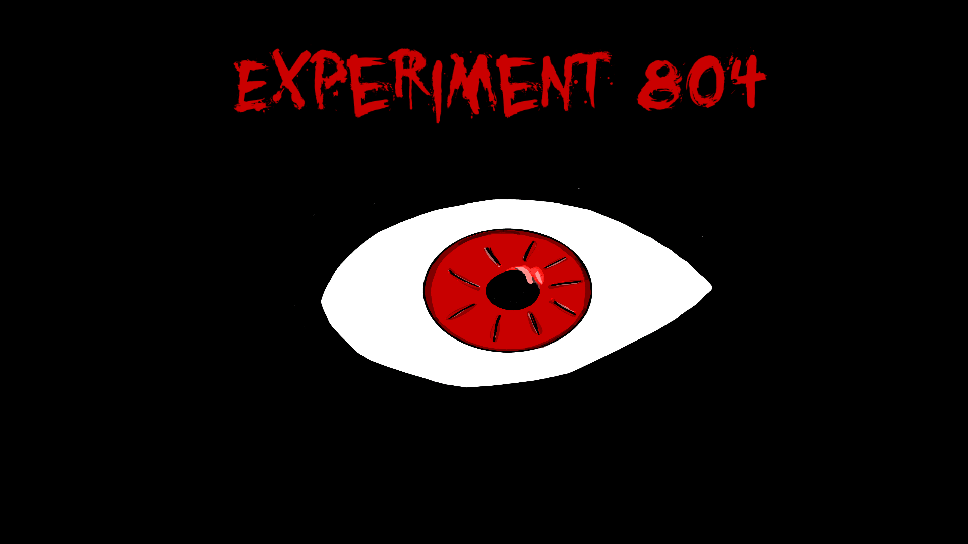 Cover image for Experiment 804