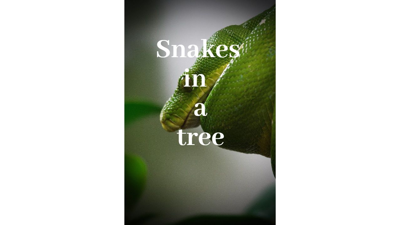 Cover image for Snakes in a tree the game
