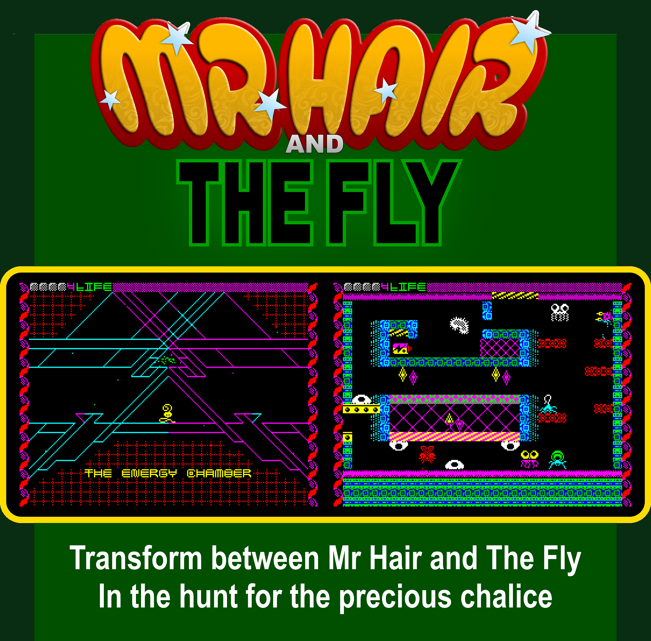 Mr Hair & The Fly