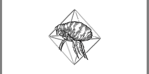 Cover image for Блошиное Фэнтези v 2.0
