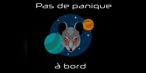Cover image for Pas de Panique à Bord