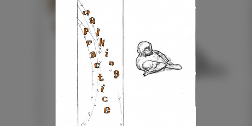 Cover image for WALKING PRACTICE