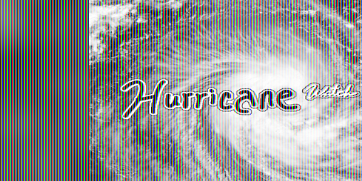 Cover image for Hurricane Watch