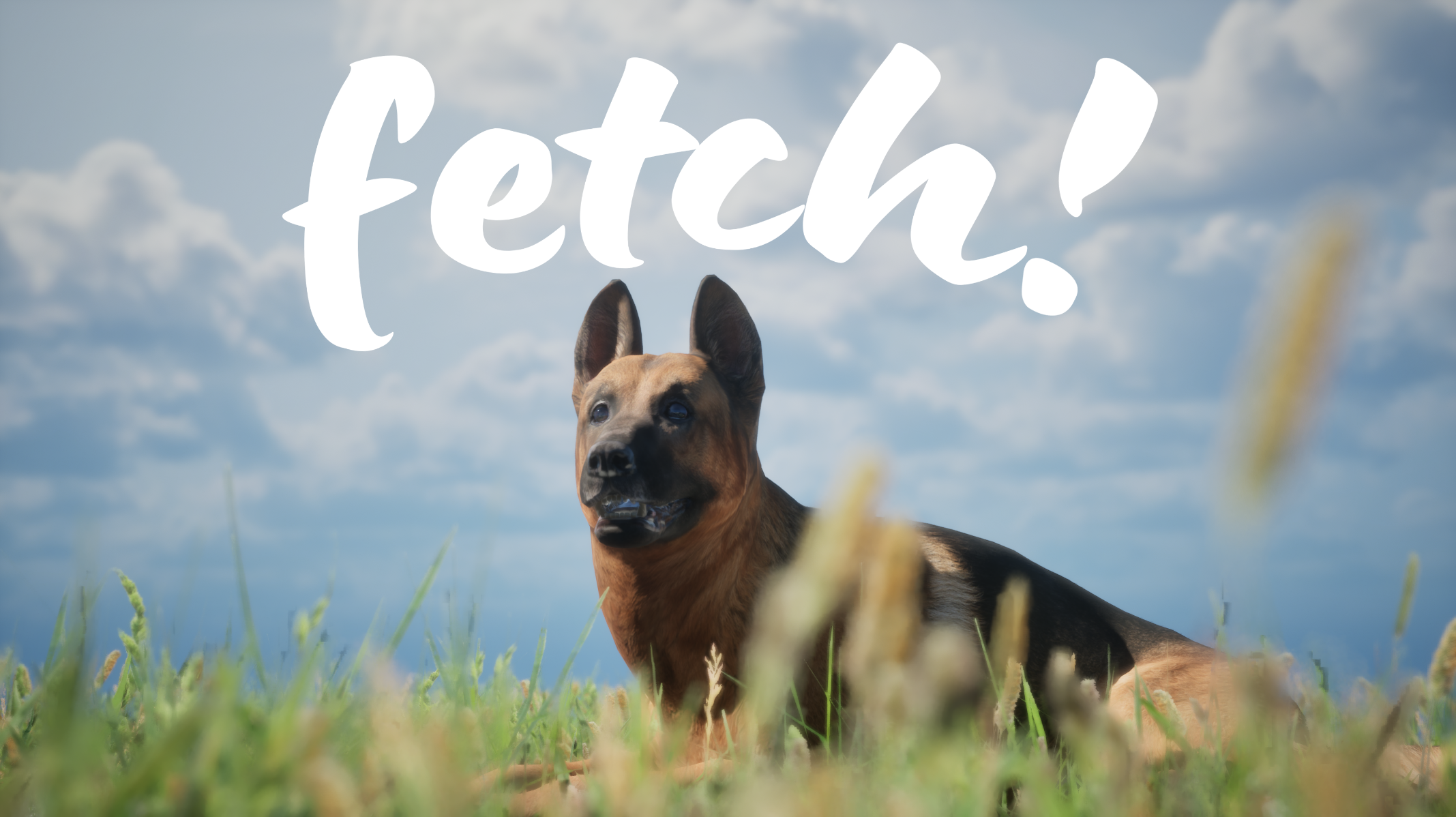 Fetch!