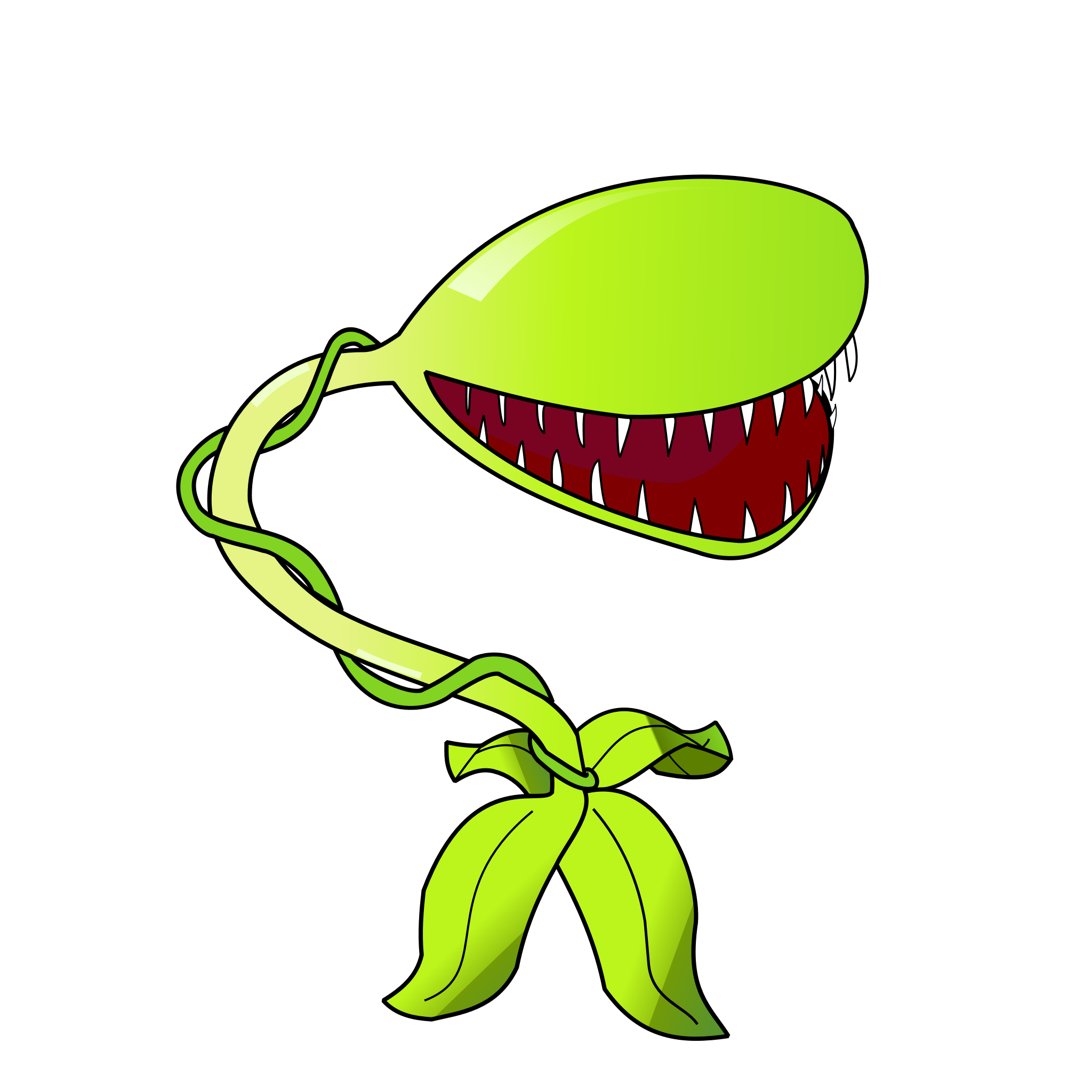 Cover image for Botany & Havoc