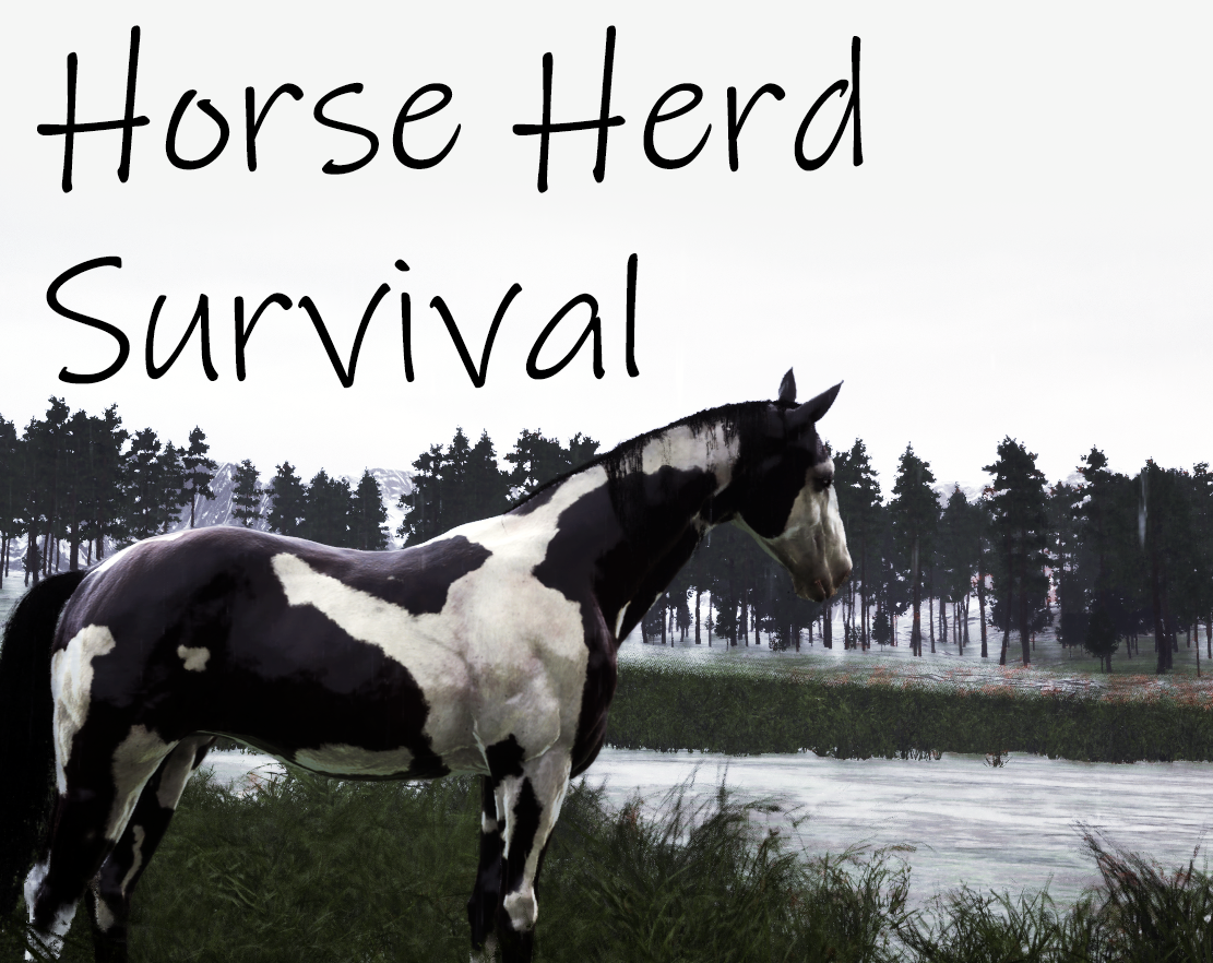Cover image for Calm Before the Storm: Horse Herd Survival