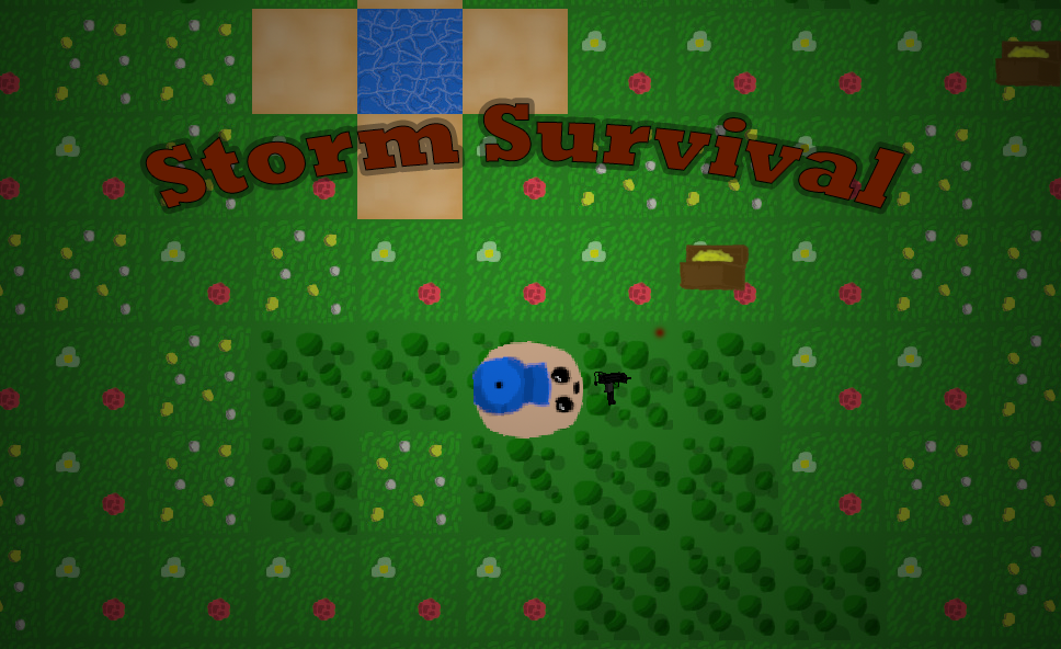 Cover image for Storm Survival