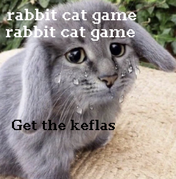 rabbit cat game