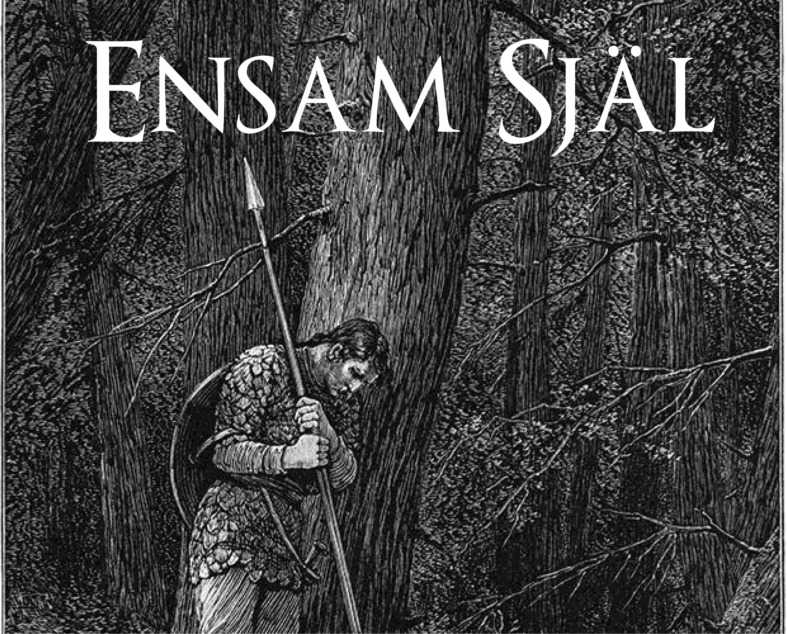 Cover image for Ensam Själ