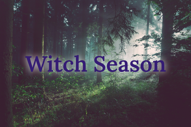 Cover image for Witch Season
