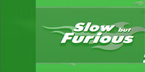 Cover image for Slow but Furious
